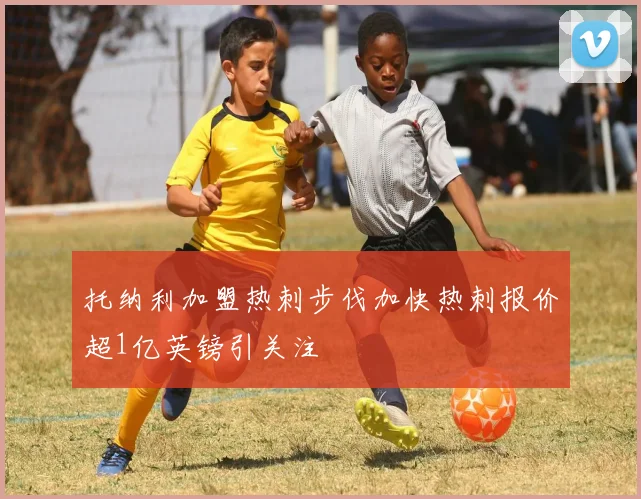 托纳利加盟热刺步伐加快热刺报价超1亿英镑引关注